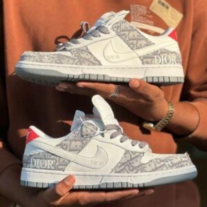 sb dunk low diorr NEW